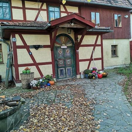 Апартаменти Appel-Ranch Bockelwitz Екстер'єр фото