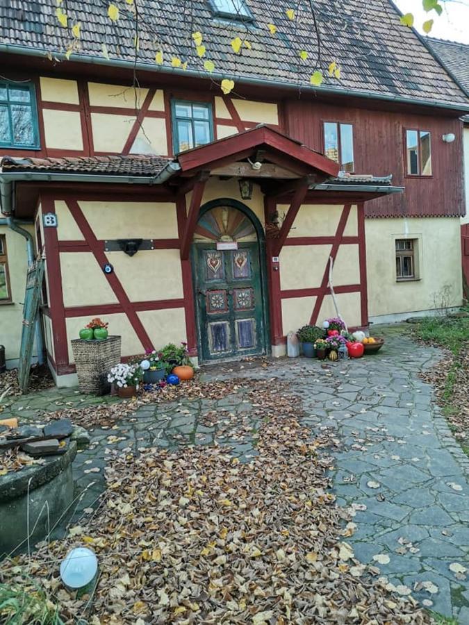 Апартаменти Appel-Ranch Bockelwitz Екстер'єр фото