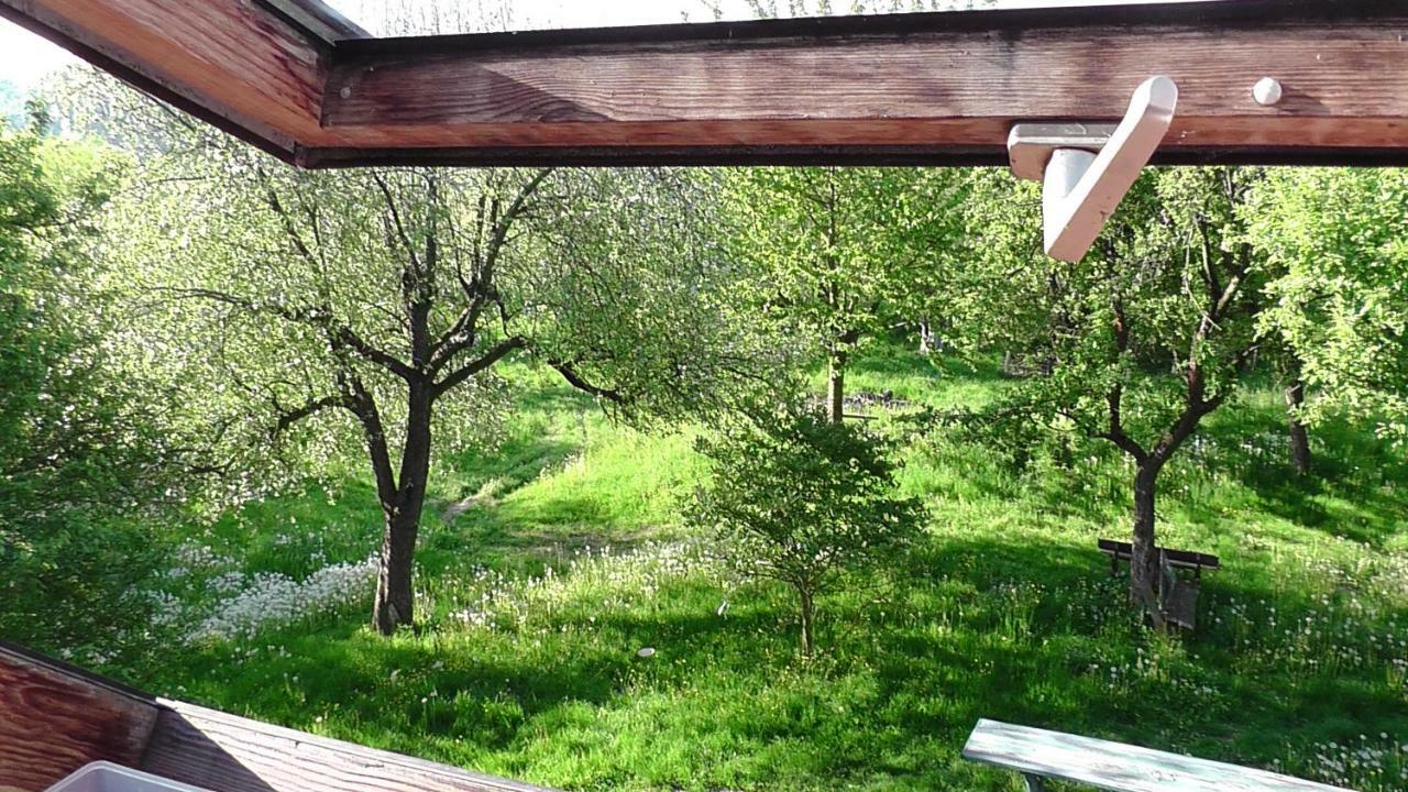 Апартаменти Appel-Ranch Bockelwitz Екстер'єр фото